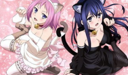 动漫看片,探索经典与创新的视觉盛宴